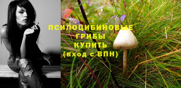 гидра Балабаново