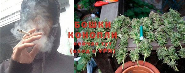 гидра Балабаново